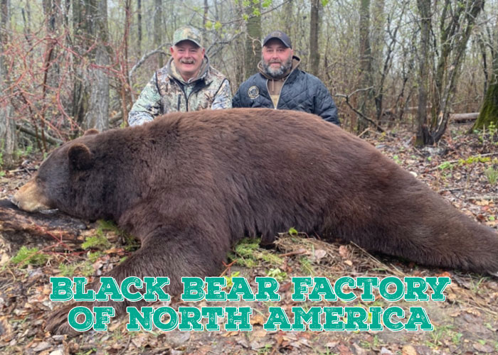 Image of hunters with black bear - Black Bear Factory of North America - Muskeg Country Outfitters, Manitoba, Canada